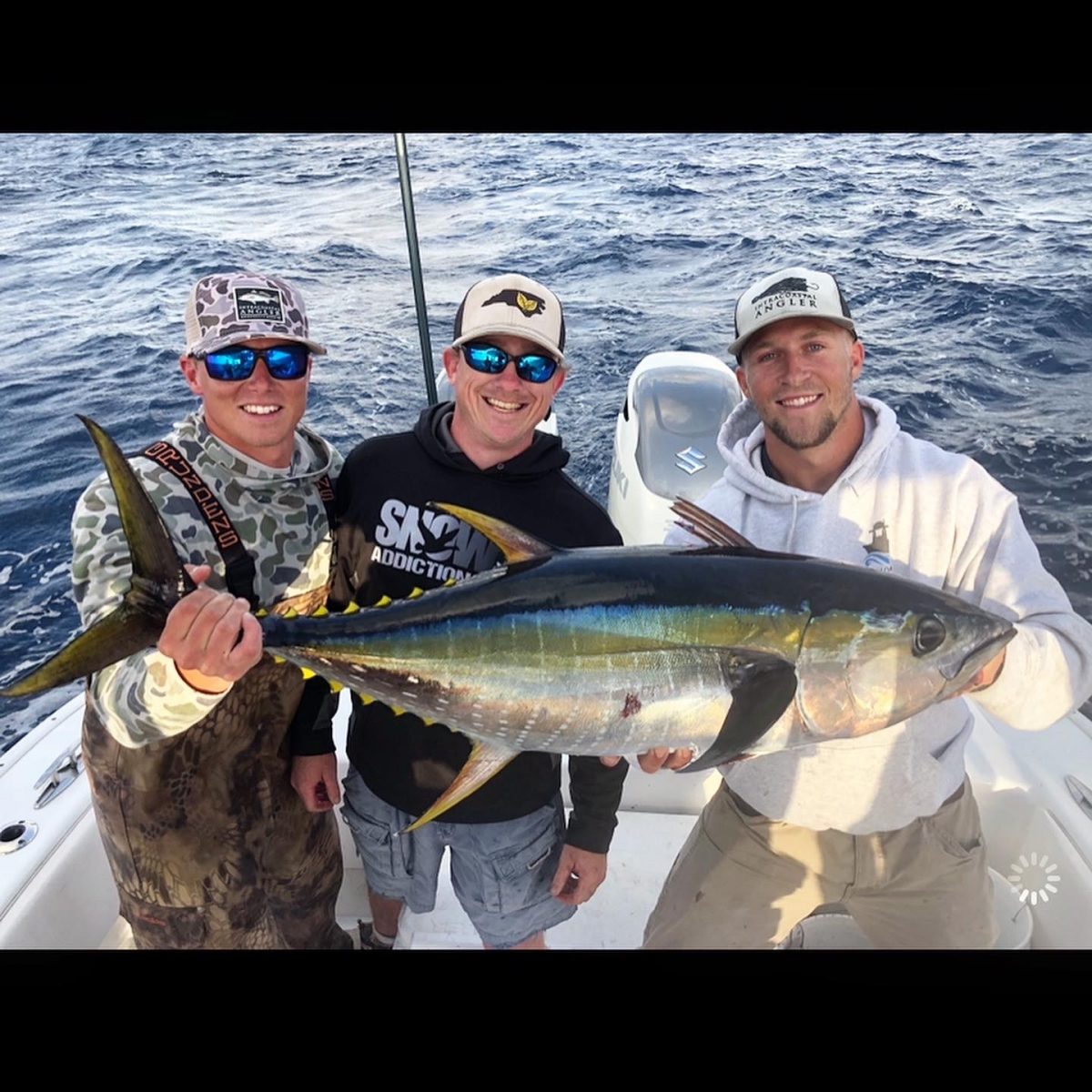 Yellowfin Tuna