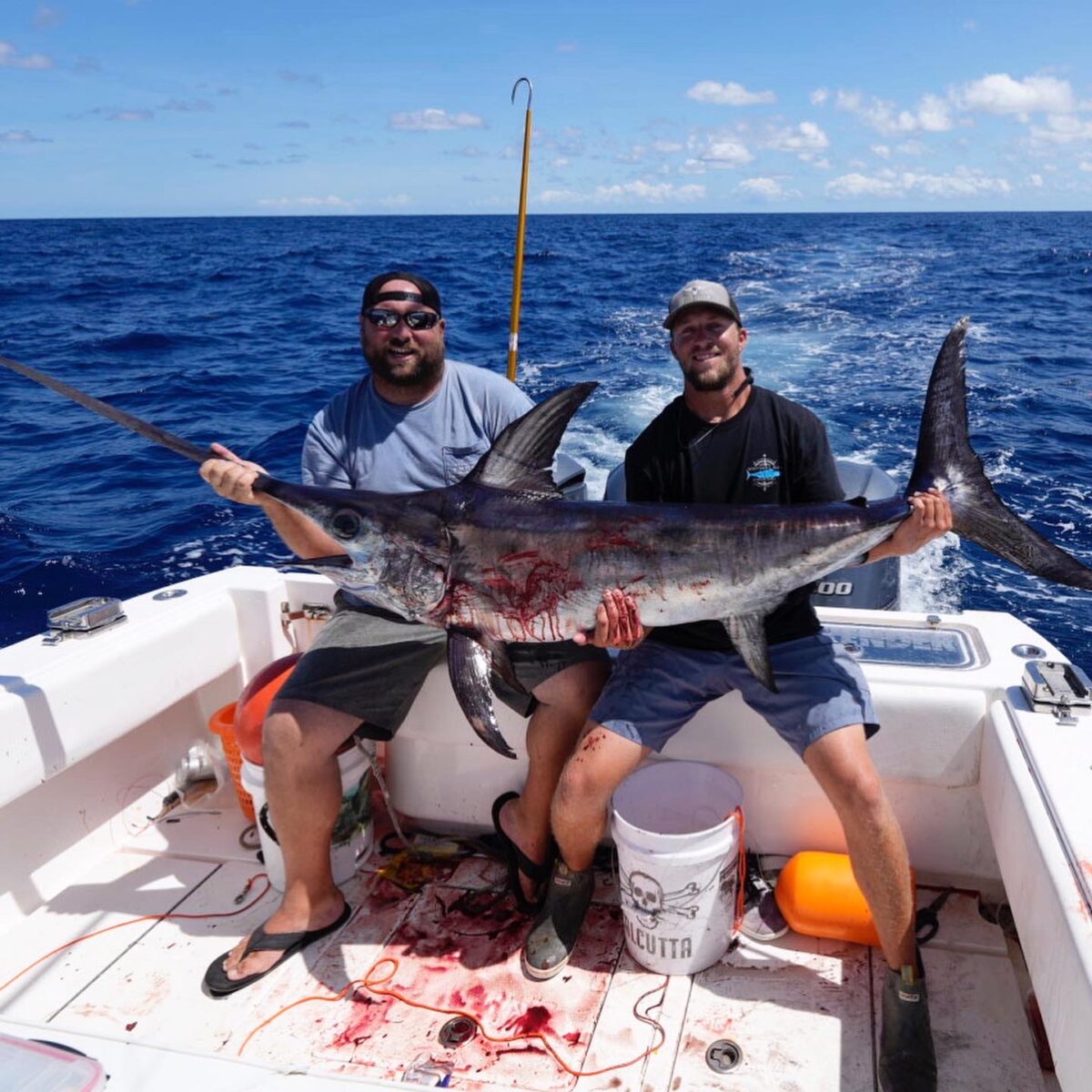 Swordfishing