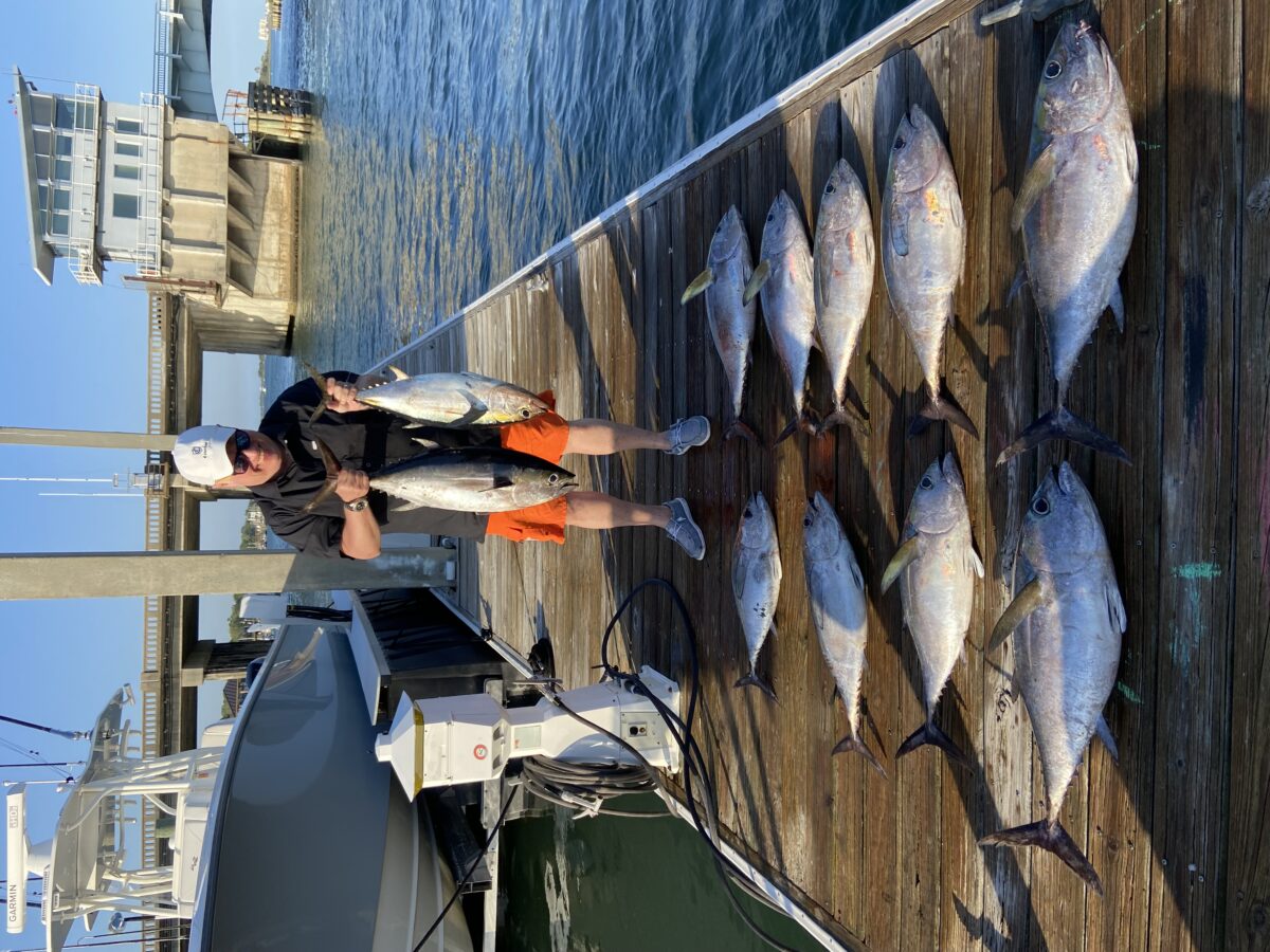Blackfin Bonanza