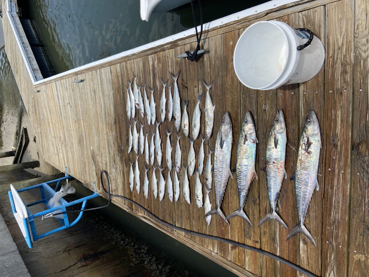 Nearshore Fishing Charters