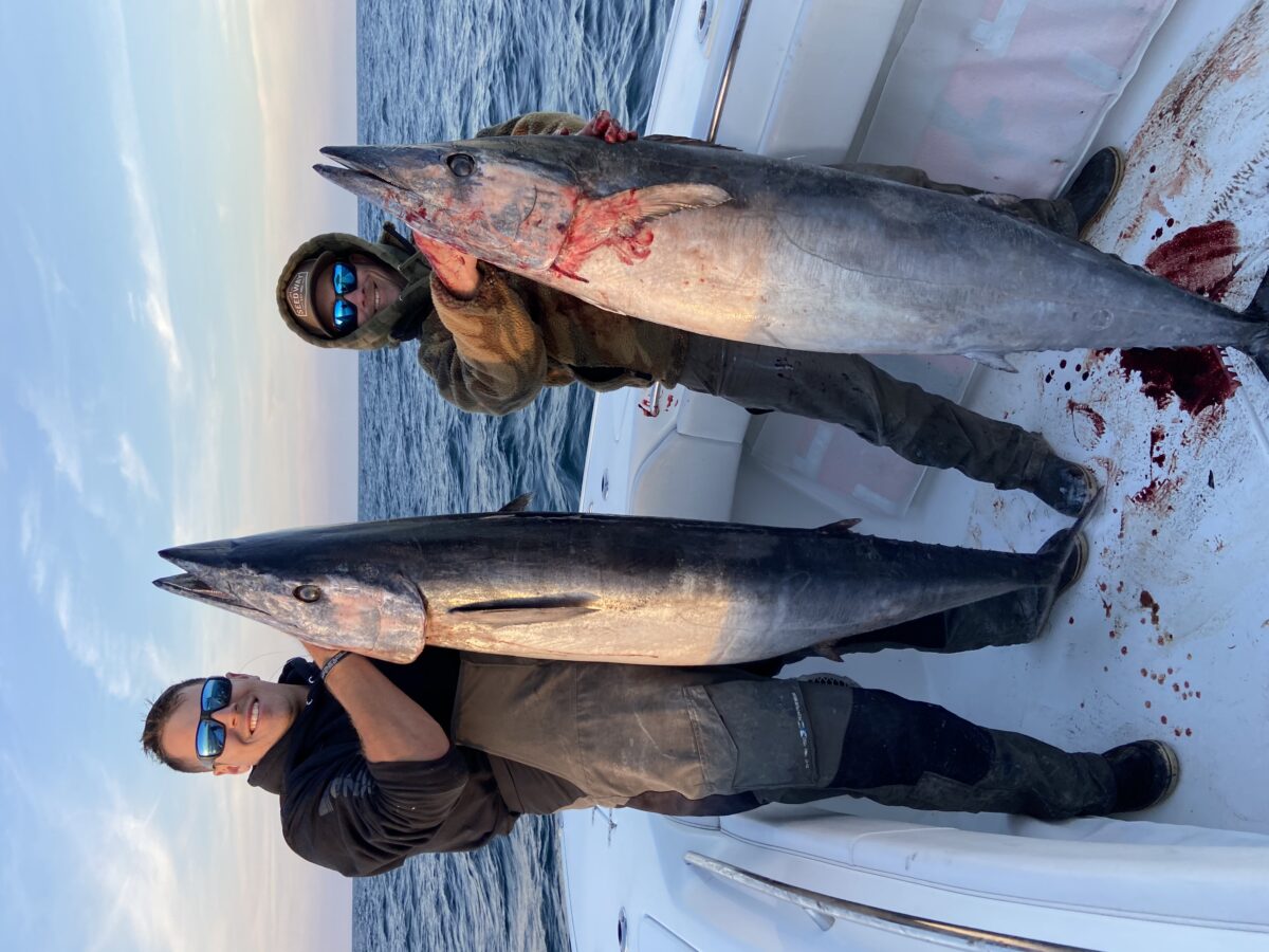 Massive Wahoo